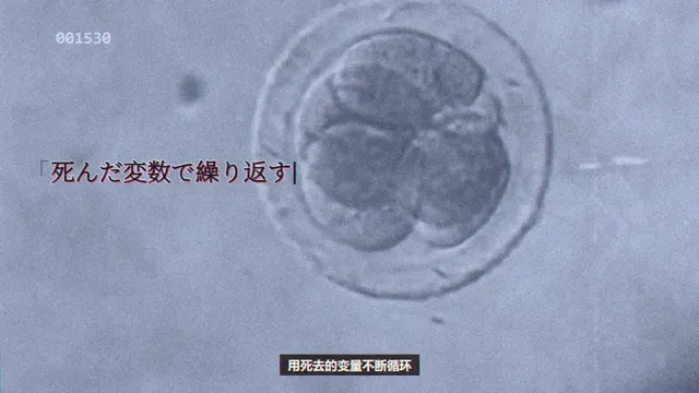 显微镜下的细胞分裂